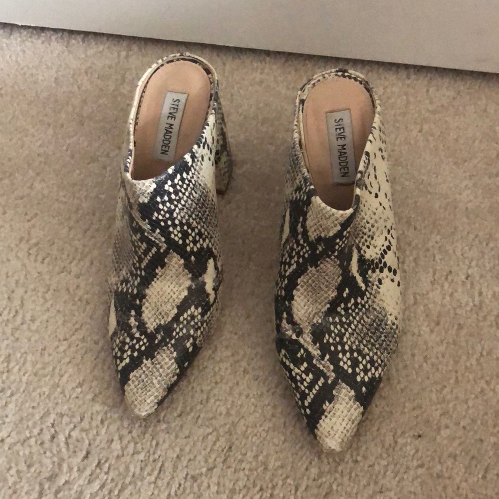 Steve Madden snake skin booties